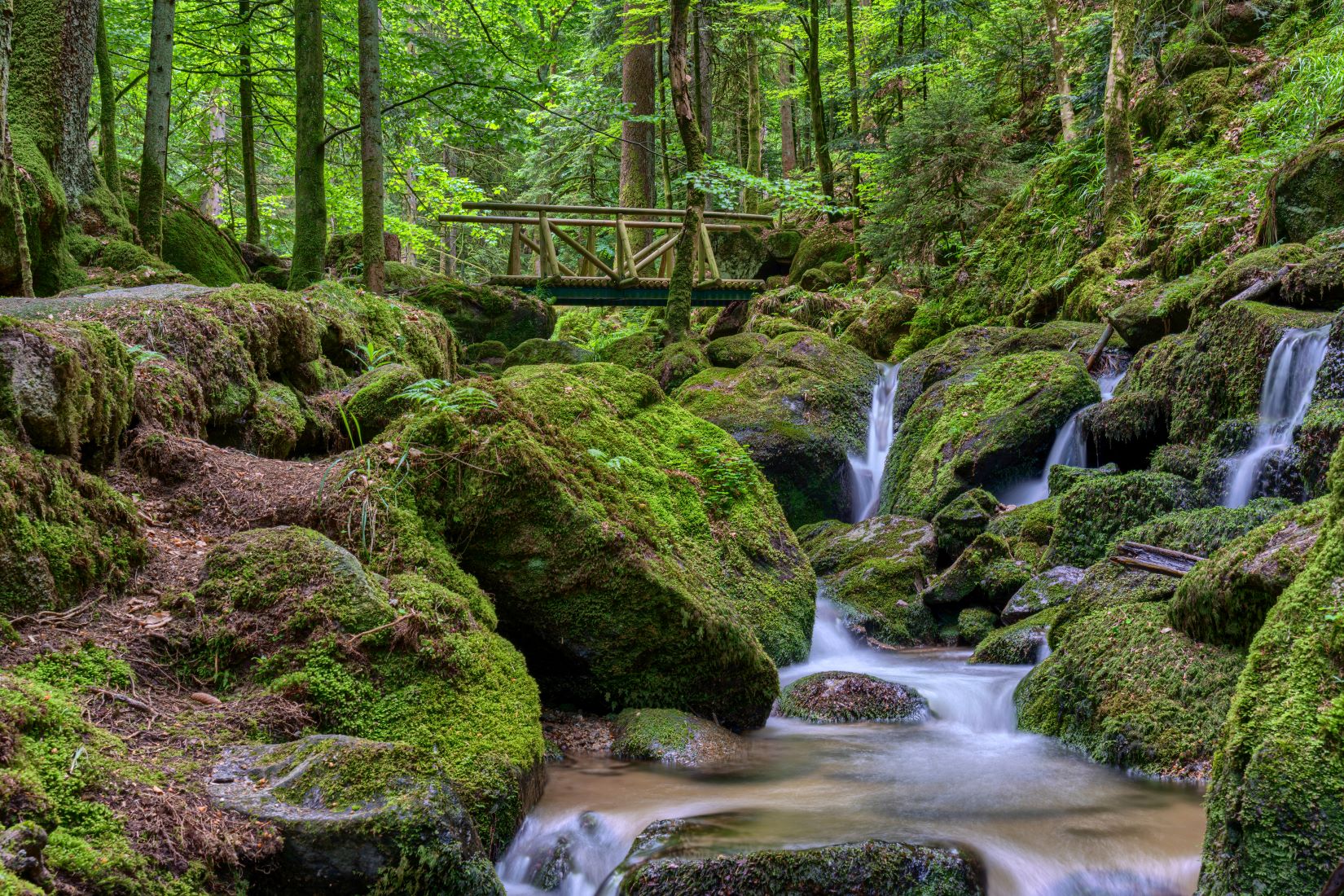 Gertelbach-Wasserfälle imSchwarzwald Gertelbach-Wasserfälle imSchwarzwald